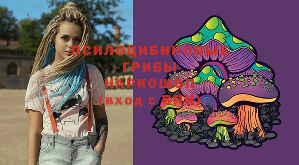 гидропоника Карталы