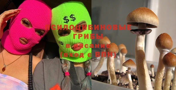 гидропоника Карталы